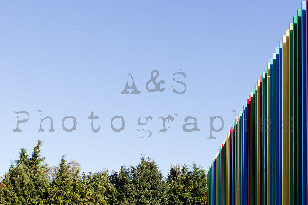 AS-photgraphes-004.jpg